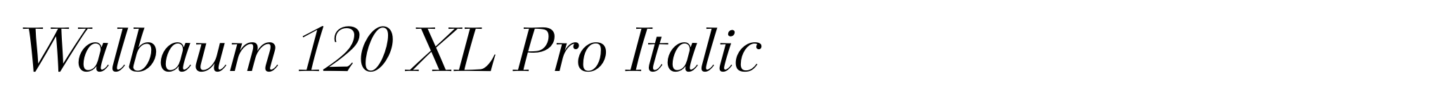 Walbaum 120 XL Pro Italic image